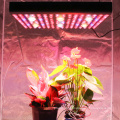 Full Spectrum Grow Light LED Bulb Indoor Plants